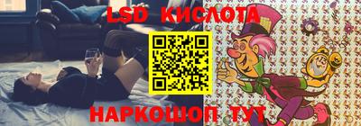 мяу мяу мука Аргун