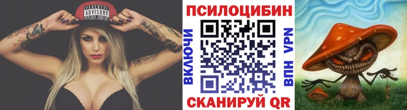 Галлюциногенные грибы Psilocybe Белореченск