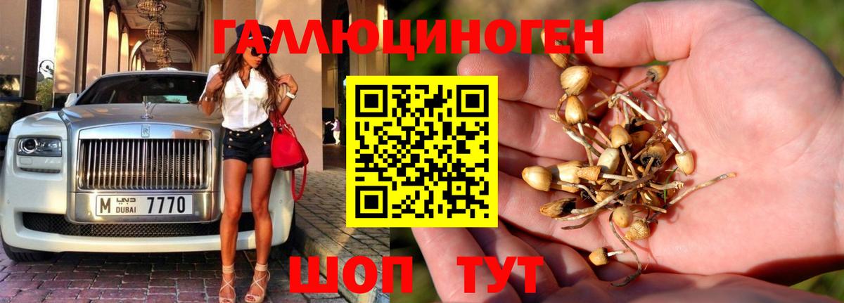 Галлюциногенные грибы MAGIC MUSHROOMS  Вход с VPN  Белореченск 