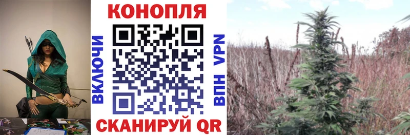 Марихуана индика  Белореченск 